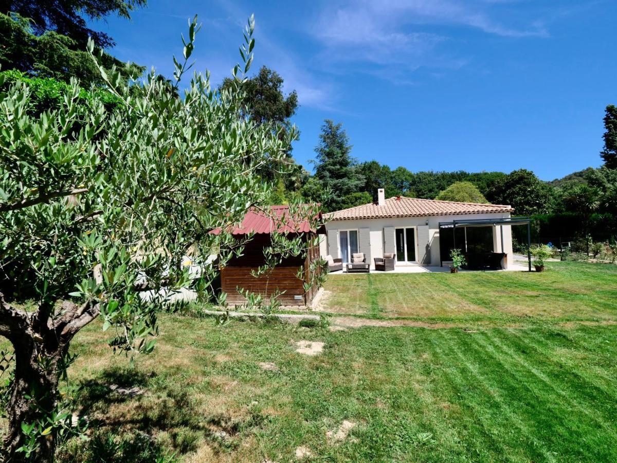 Les Yuccas -Maison neuve avec un jardin à Saint Paul de Vence Esterno foto
